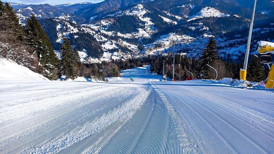 Вілла Casa Fantana - La Poalele Muntilor -50 De Metri De Partia Olimpica Statjunea Borsa Екстер'єр фото